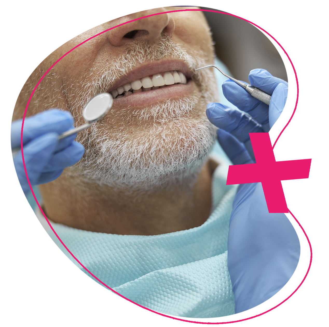 gms-organic-persona-04